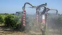 Enovitis in campo 2022