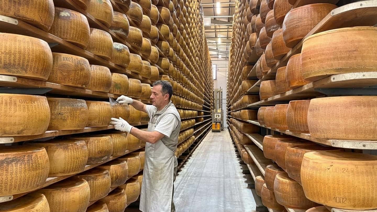 Agricoltura e finanza, effetti su credito e imprese
