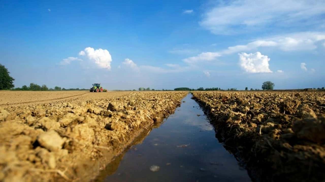 raccolti-giu-fino-all80-italia-in-ginocchio-per-siccita