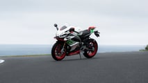 Aprilia RS 660 Phillip Island Tribute