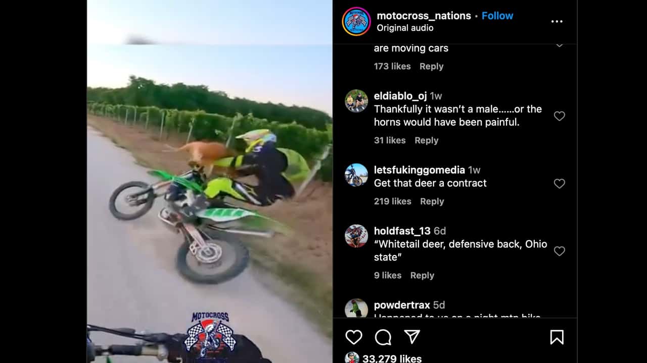 Instagram Deer Hits Rider
