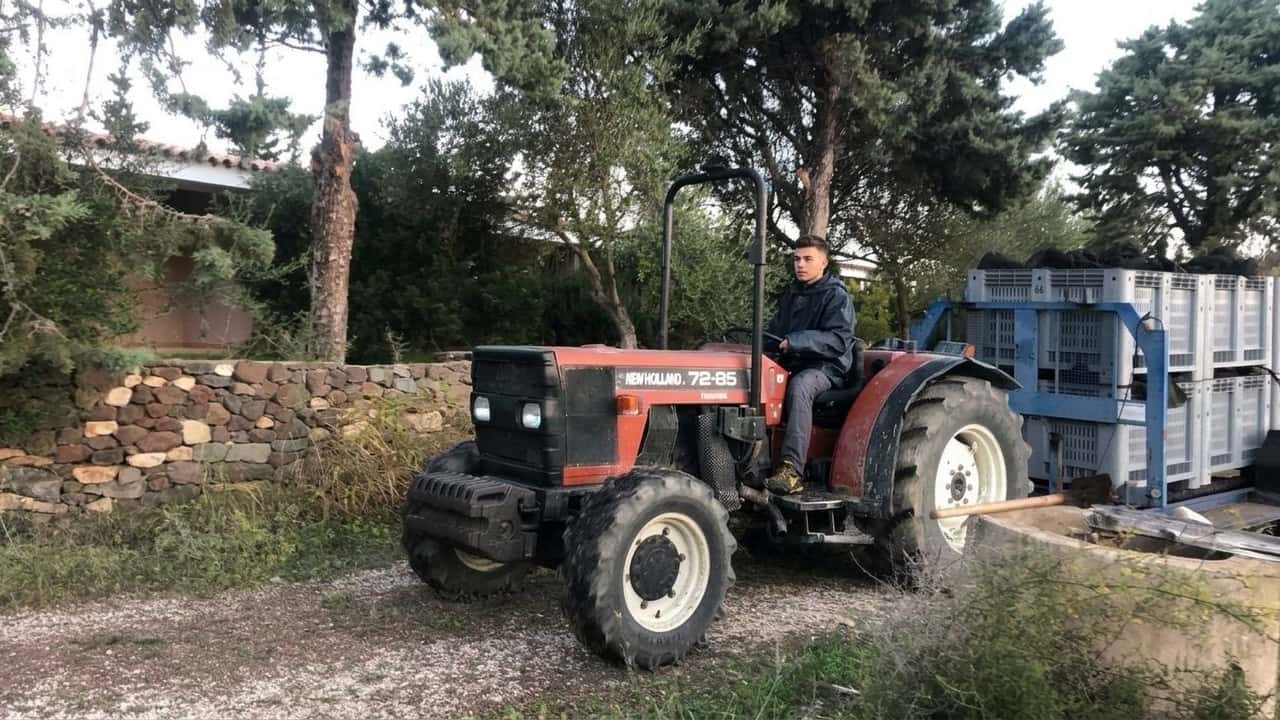 premio-da-40-000-per-il-primo-insediamento-in-sardegna