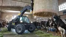 DIECI Mini Agri e Mini Agri-e: termico o elettrico a confronto