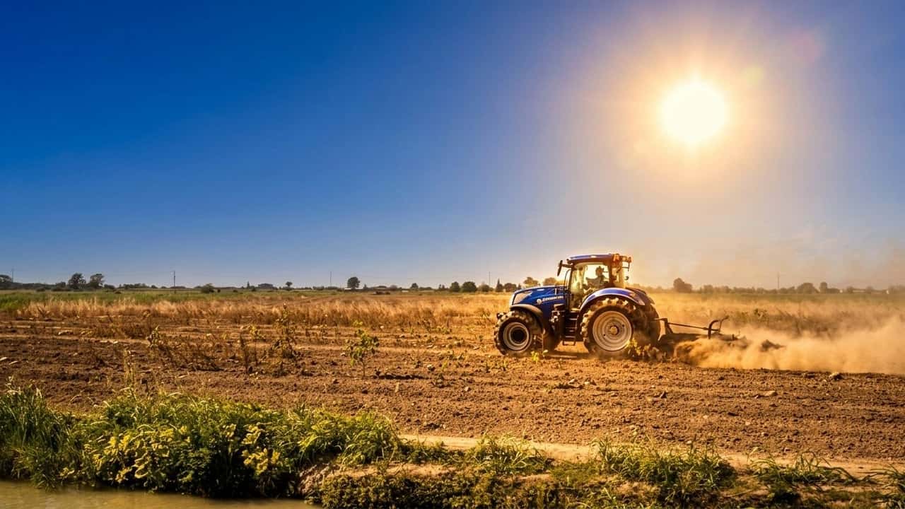 caldo-e-siccit-frutta-ortaggi-e-olio-rischiano-il--mod-msejo5z7