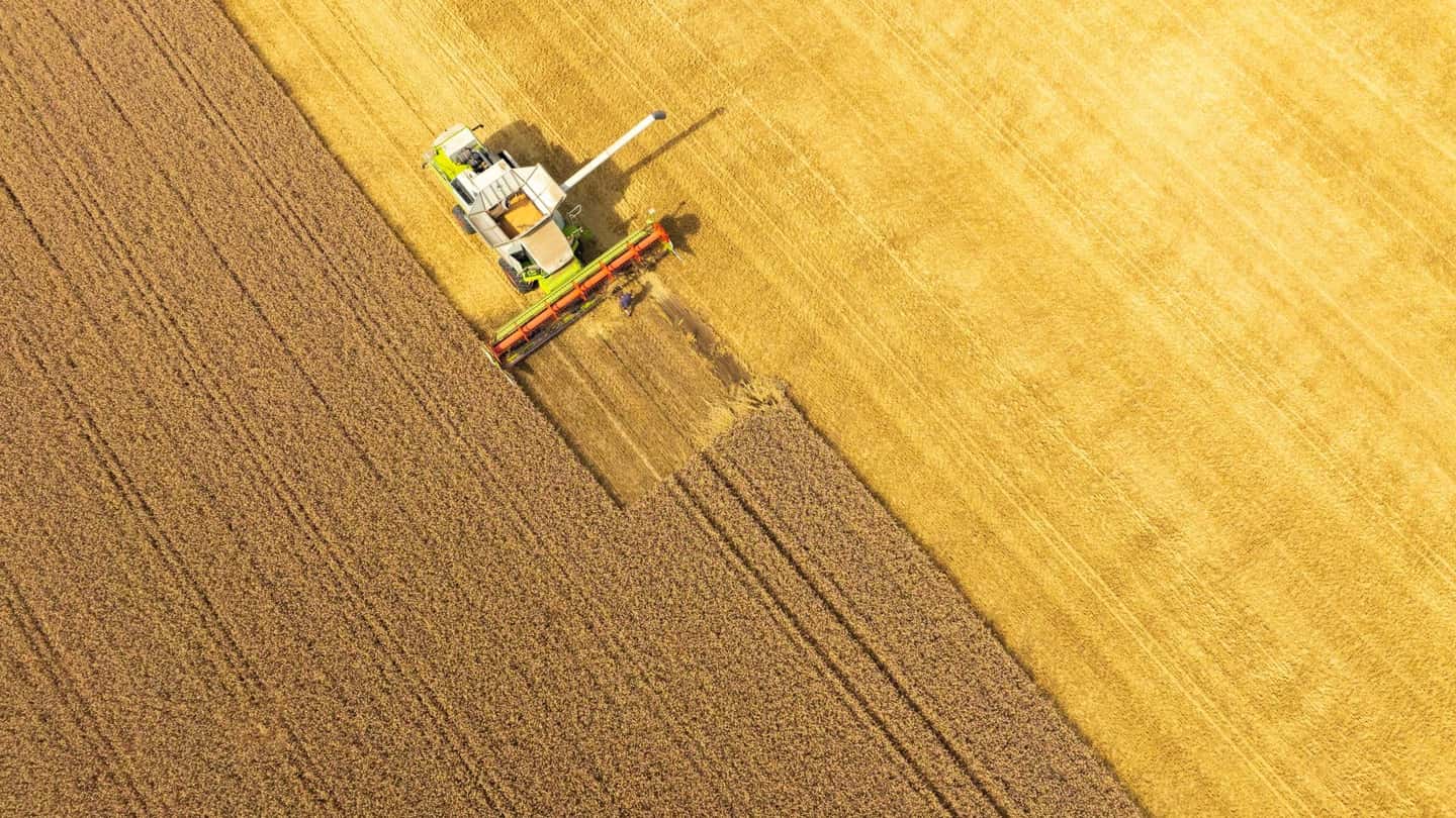Cereali, listini in ripresa e competitività Ue in calo