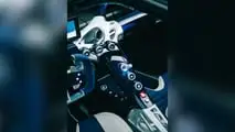 Apollo EVO (2026) Caribbean Dragon