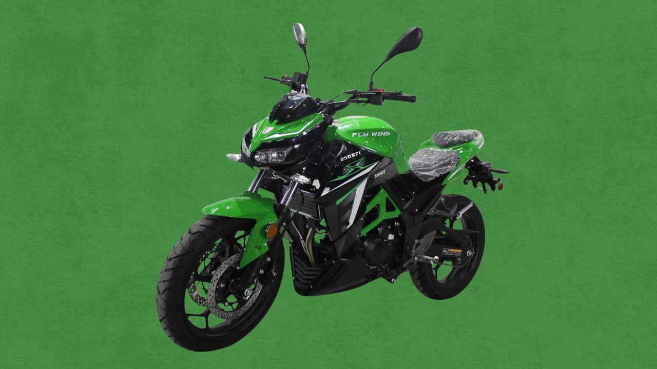 Fly Wing Snake 250 EFI Recall