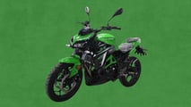 Fly Wing Snake 250 EFI Recall