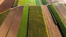 Esenzione IMU terreni agricoli: basta l'iscrizione INPS nel 2026