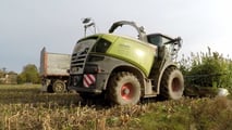 Come ribilanciare frumento, sorgo e mais nei piani foraggeri