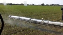 Diserbo post emergenza del mais 2026 dopo lo stop a s-metolachlor