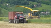 Costi di raccolta e insilamento del triticale nel 2026