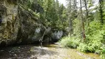 Stark Varg and Two Fly Rods