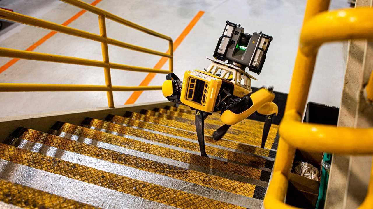 Ford cane robot