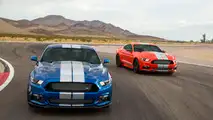 2017 Shelby American GTE Mustang