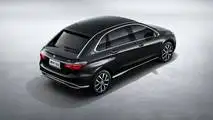 2018 Denza 500