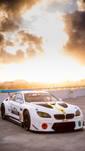 BMW M6 GTLM Art Car
