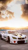 BMW M6 GTLM Art Car