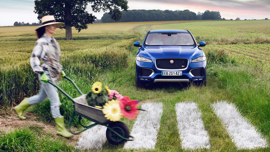 Jaguar F-Pace Dingo