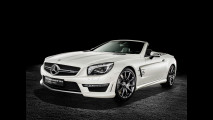 Mercedes SL 63 AMG World Championship 2014 Collector's Edition