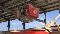 LELY VECTOR