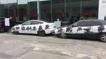 tesla china protest