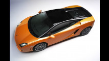 Lamborghini Gallardo 560-4 Bicolore