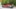 2019 Audi R8 spy photo