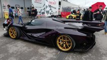 Apollo Intensa Emozione