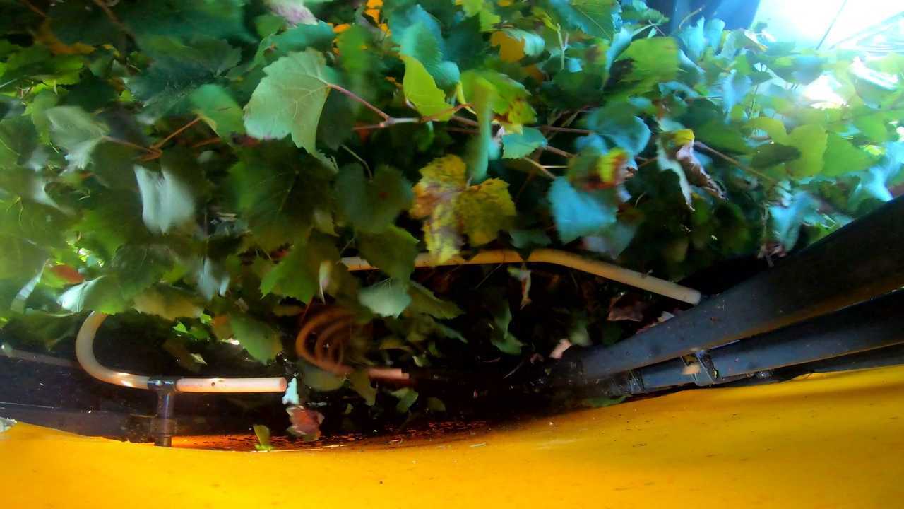 Volentieri-Pellenc 8050