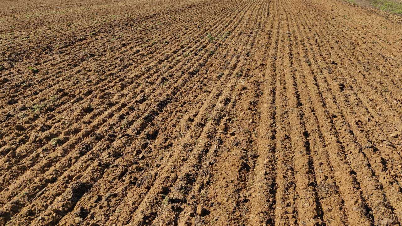 AGRO-MASZ BTC50