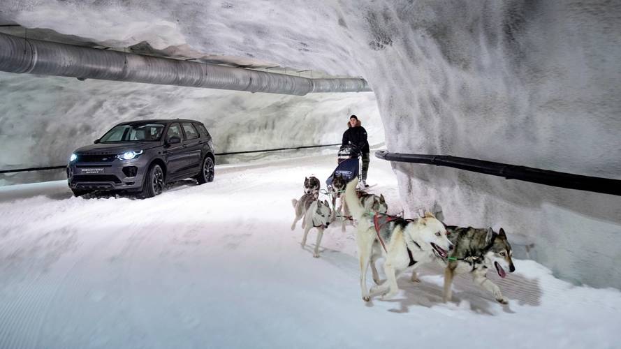 Dog power v horsepower Land Rover Discovery Sport
