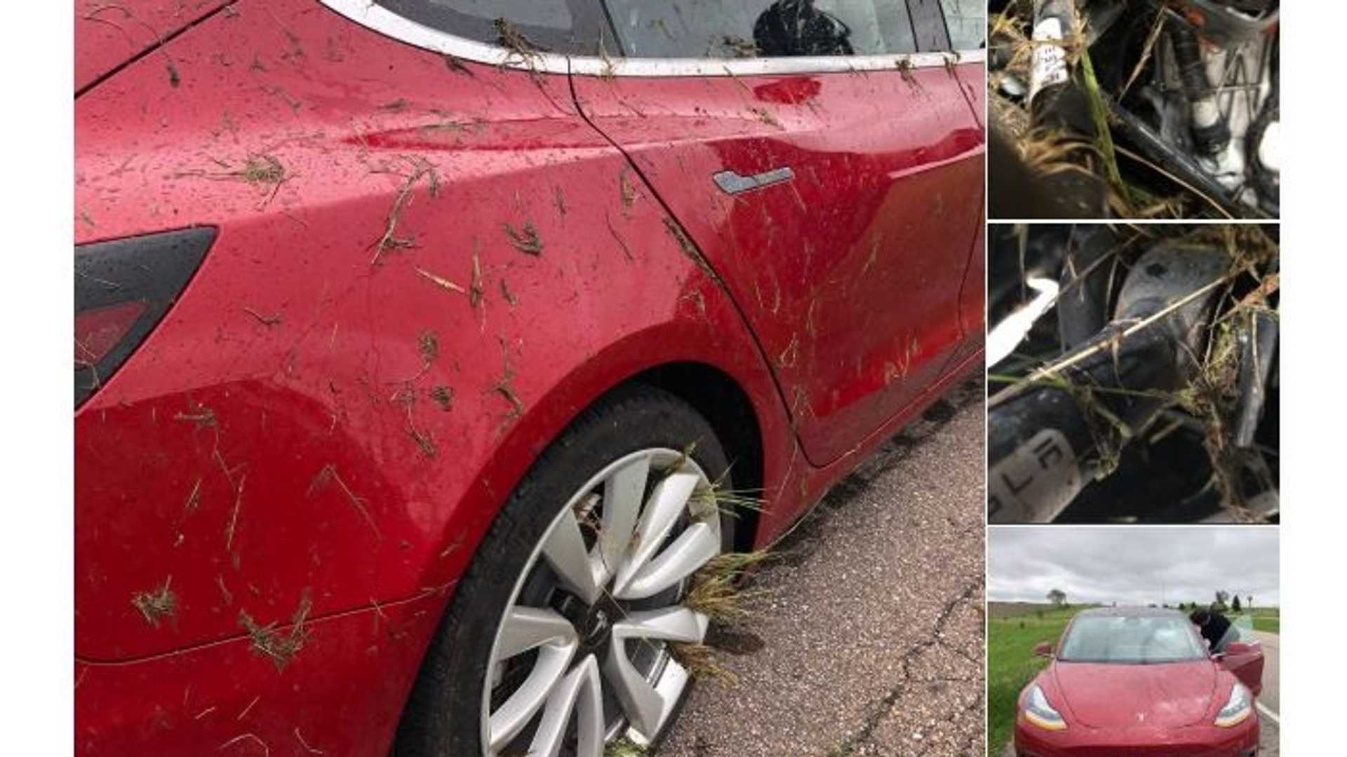 Tesla Model 3 Stability / Traction Help Owner Avoid Damage & Injuries