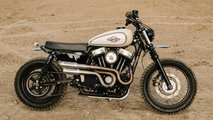 Desert Rat: 2015 Harley-Davidson Sportster 48