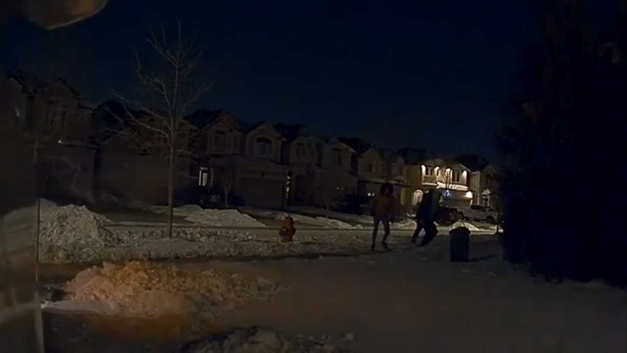 Egging To Tesla Model 3 Is Recorded By Sentry Mode In Canada