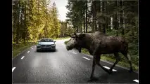 Die sichersten Autos der Welt?