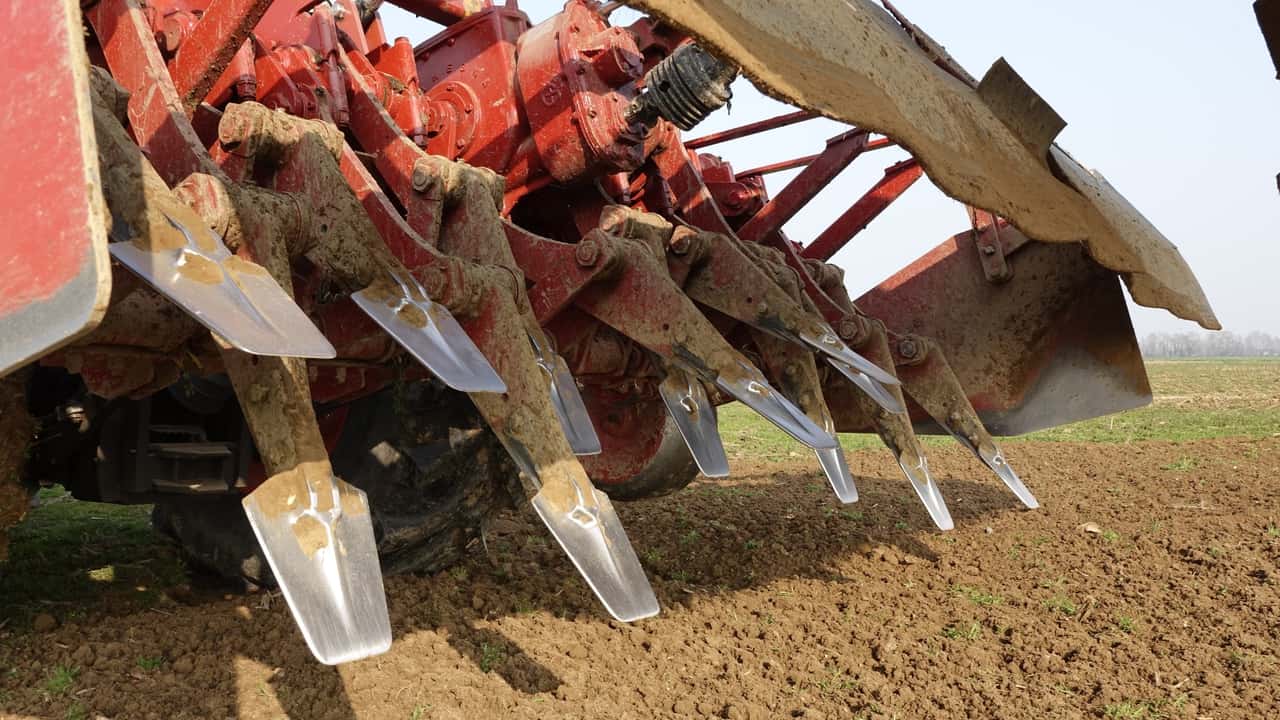 Agevolazioni tributarie solo con imprenditora agricolo