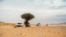 Hyundai y El Desierto de los Niños 2025