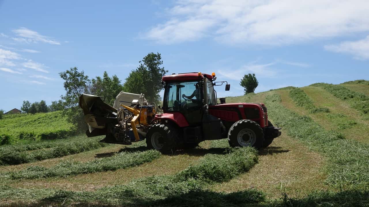 Società semplici agricole: come funziona davvero la detassazione Irpef