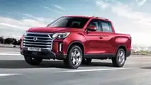 Rexton Sports XL