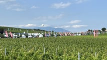 Enovitis in Campo 2025 – Report trattori e robot agricoli Parte 1
