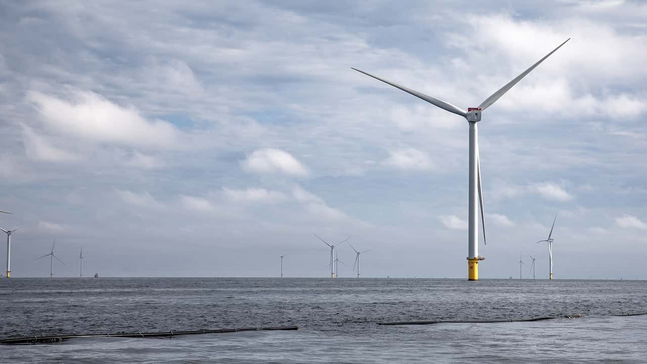 Cultiver des algues entre les éoliennes ? Amazon le fait