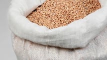 Seme certificato o autoriprodotto: quale conviene davvero?