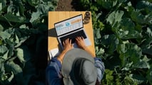 Quaderno di campagna digitale prorogato al 2026: cosa fare adesso?