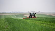 Ddl Tutela Agroalimentare: più tutela per le imprese Dop