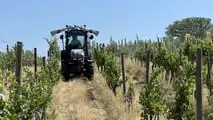 Enovitis in Campo 2026: tutte le novità tra i filari del Chianti