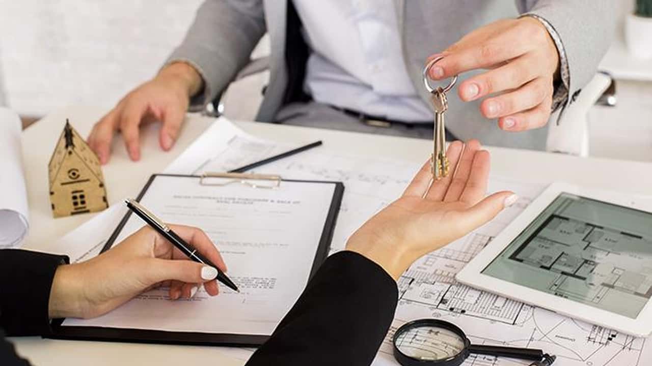 Cessione ramo d'azienda agricola: il contratto di locazione segue