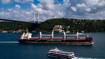 Il grano tocca 237 euro per tonnellata a Parigi con un rialzo del 15% a luglio: gli attacchi allo stretto di Kerch bloccano le esportazioni di Russia e Ucraina.