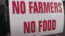 Proteste di agricoltori e trattori crescono in tutta Europa