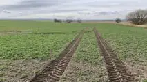 AXION TERRA TRAC il trattore ideale anche per la concimazione
